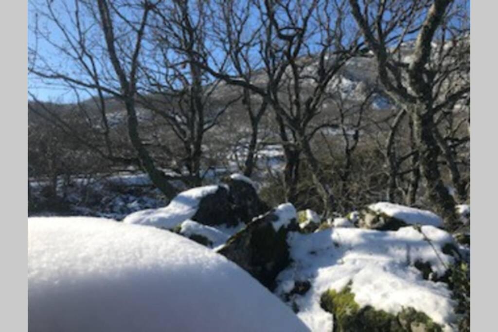 Vuelos De Montana L Montánchez Kültér fotó